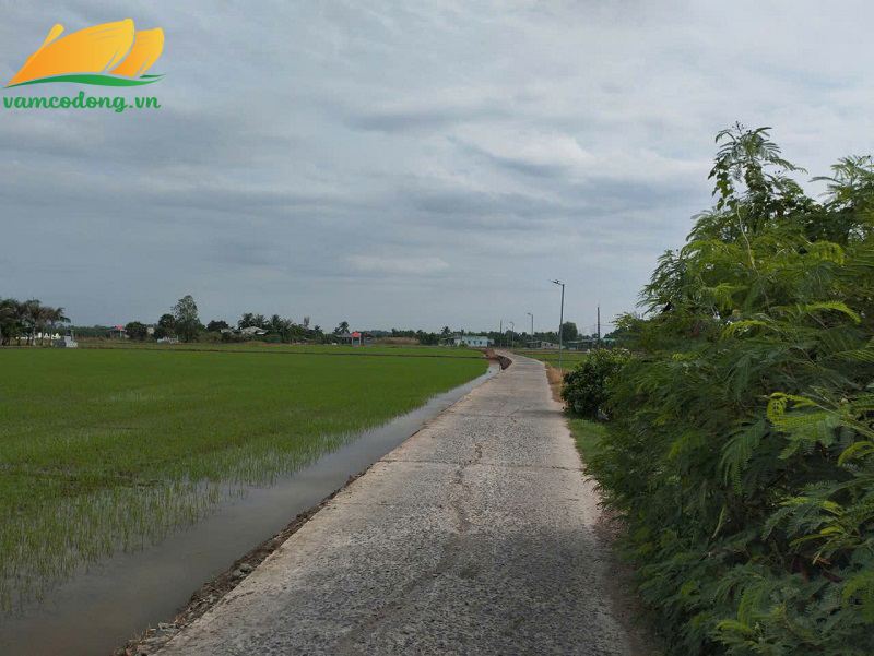 27.408.01 835m2 đất vườn có 99m2 thổ cư